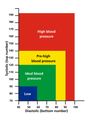 How To Low Your Blood Pressure | AjantaStore Expert Blog