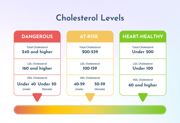 Best Drugs for High Cholesterol | AjantaStore Expert Blog