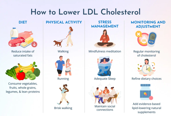 Best Drugs for High Cholesterol | AjantaStore Expert Blog