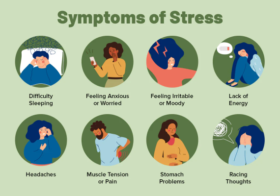 How To Low Your Blood Pressure | AjantaStore Expert Blog